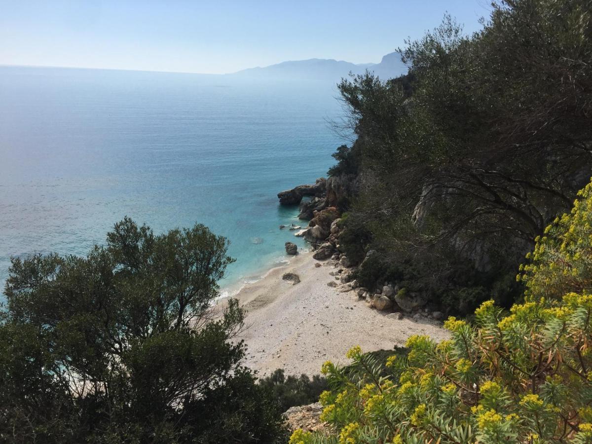 B&B Da Miranna Dorgali Dış mekan fotoğraf
